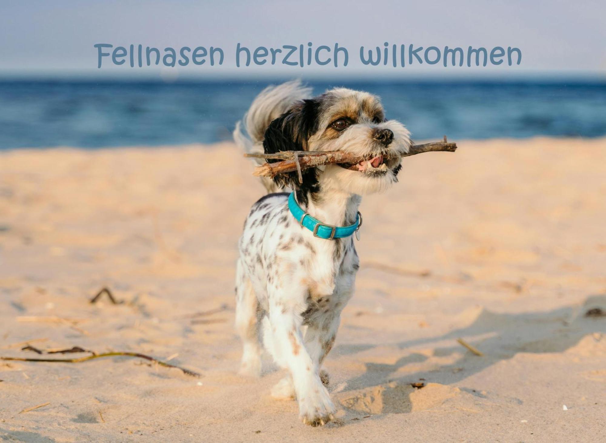 Hafensuite Ipura Vida! - Fuer Leben-Geniesser Kappeln Exterior foto